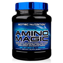 Scitec Nutrition Amino Magic (500 гр)