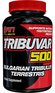 SAN Tribuvar 500 (90 капс)