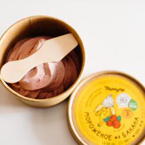 Пашуня мороженое тара (100 г) Клюква