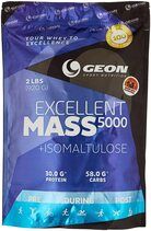 Geon EXCELLENT MASS 5000 (920 г)